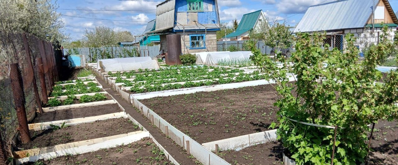 земля р-н Нижнекамский г Нижнекамск Республика Татарстан Татарстан, муниципальное образование Нижнекамск фото 6