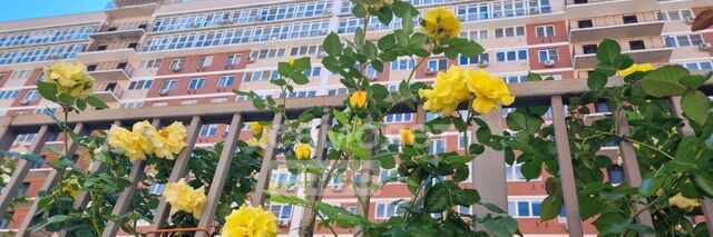 р-н Прикубанский дом 39/2 фото