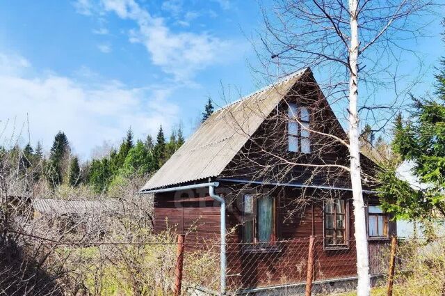 Вяземы СНТ, Одинцово, 17 фото