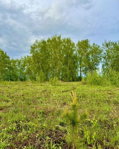 д Ламоново 55 км, территория Ламоново-1, 864, Мещерино, Каширское шоссе фото