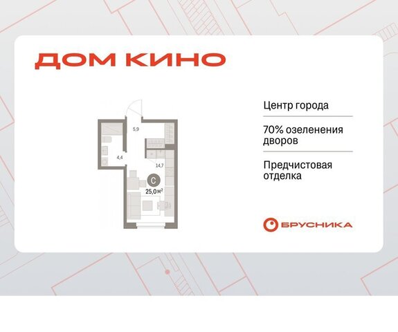 Центральный ЖК «Дом Кино» фото