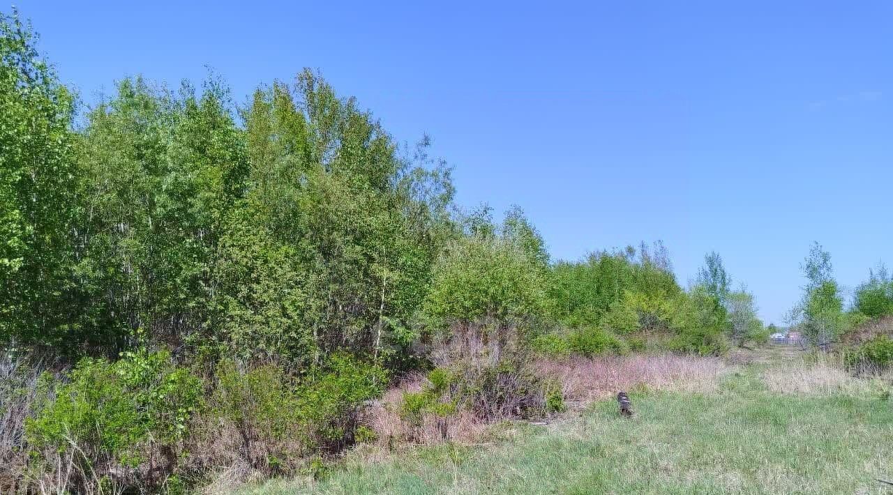 земля г Комсомольск-на-Амуре Центральный округ ул Красная фото 4
