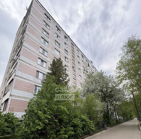 Рекинцо 8 фото