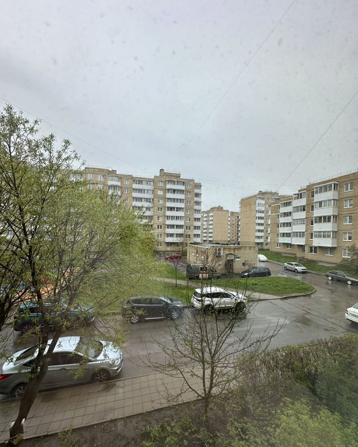 комната г Красное Село ул Красногородская 9к/1 фото 13