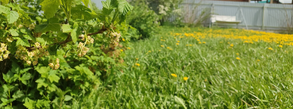 земля г Полевской с Курганово мкр Морозовские дачи фото 8