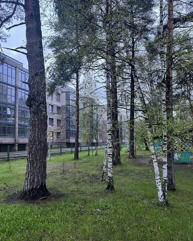 р-н Заволжский ул Клубная ЖК «Боровики» фото
