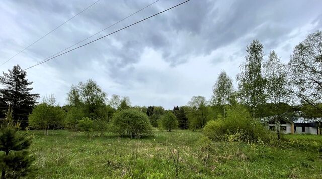 земля д Семивраги снт ЛОС Домодедовская фото