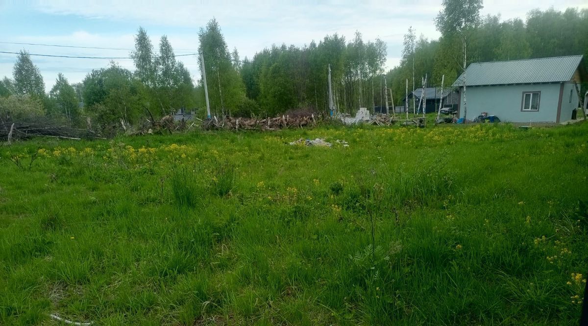 земля г Чехов Васильково-4 кп, ул. Озерная фото 3