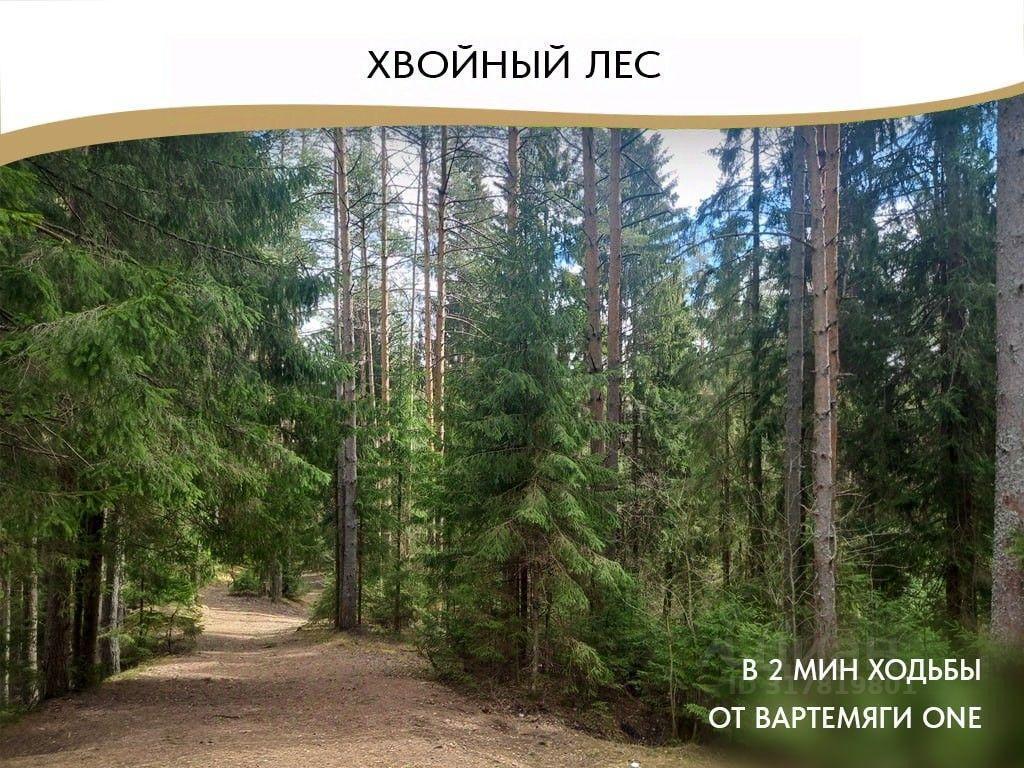 дом г Санкт-Петербург ул Восточная 121 Юкковское сельское поселение, КП Юкковское, Ленинградская область, Всеволожский район фото 5