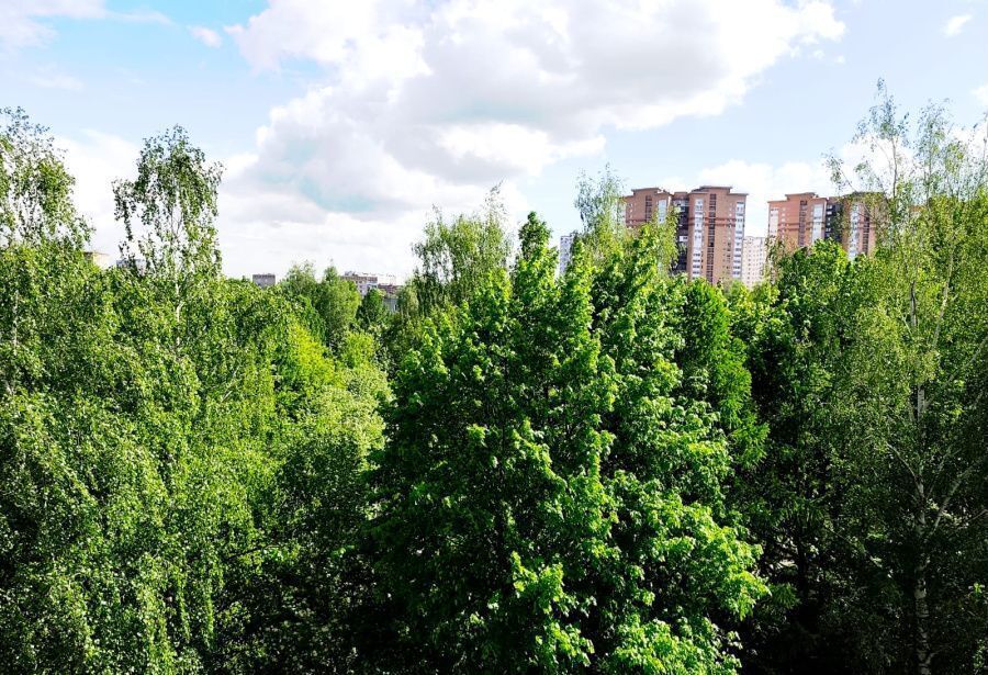 квартира г Подольск ул Юбилейная 23 фото 16