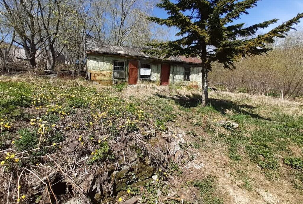 земля г Петропавловск-Камчатский А-401, 10-й километр фото 1