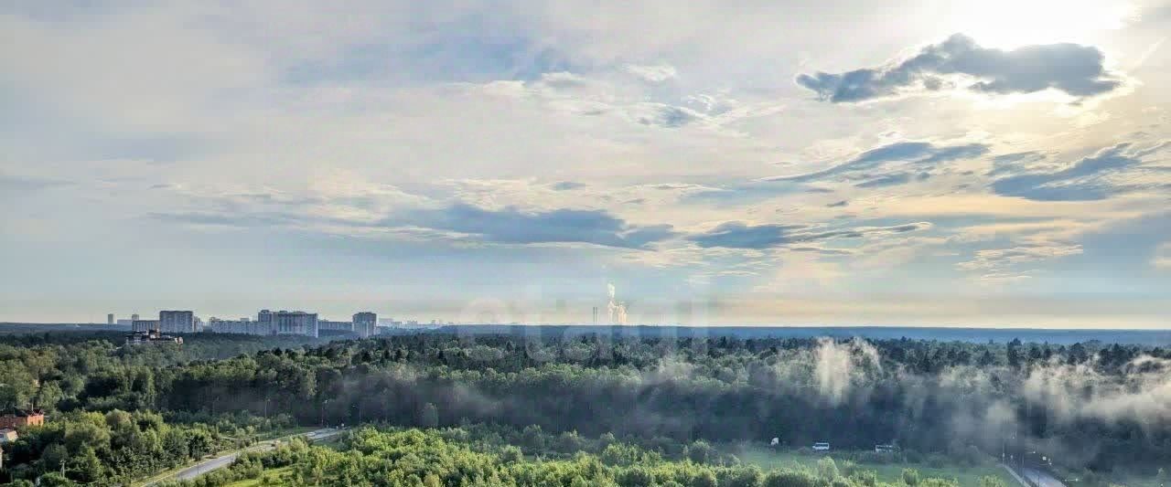 квартира г Балашиха ул Дмитриева 2 Щёлковская фото 20
