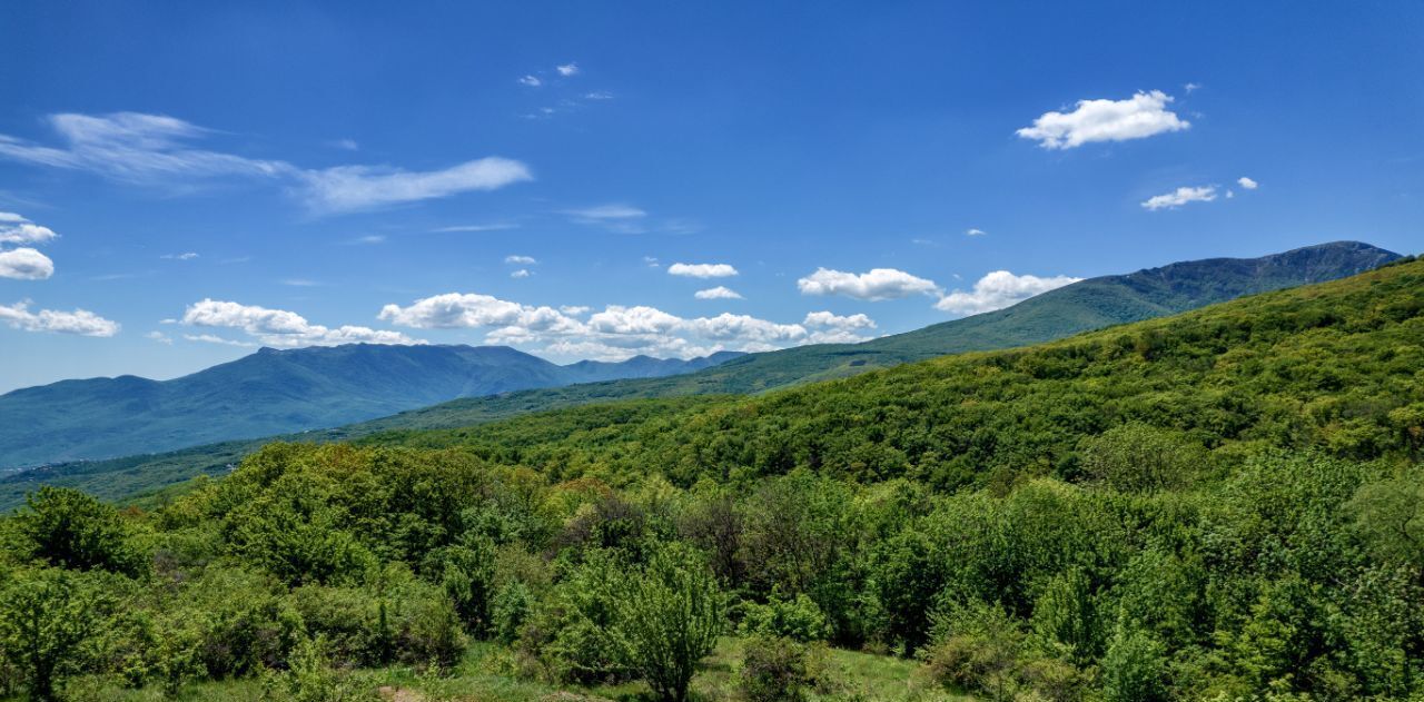 дом г Алушта с Лучистое фото 12