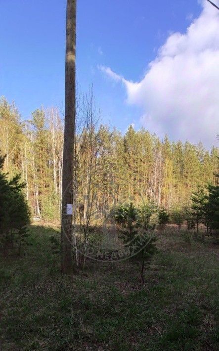 земля р-н Сысертский г Сысерть снт Солнечные поляны фото 5