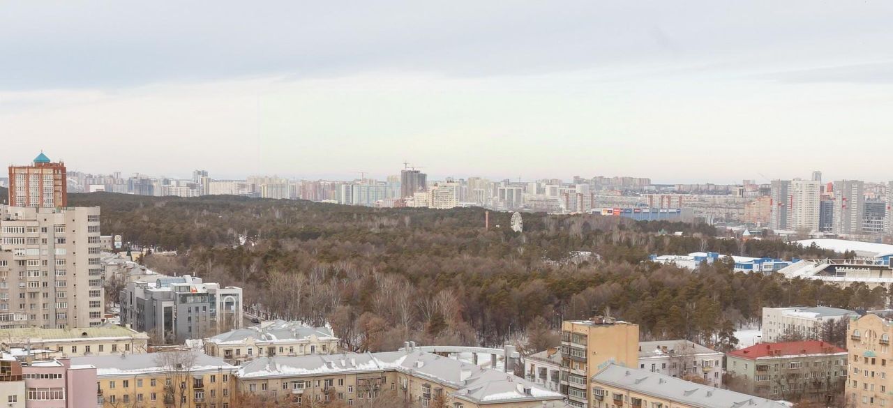квартира г Челябинск р-н Центральный пр-кт Ленина 64б фото 6