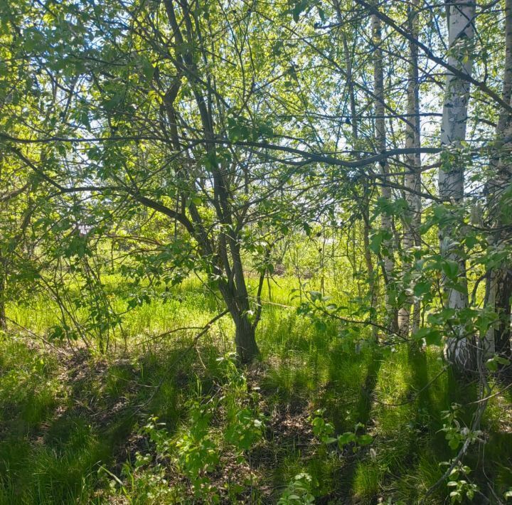 земля г Клин ул Ю.Артюхина фото 11
