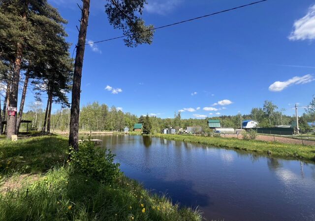 п Заклязьменский снт Колос р-н Октябрьский фото