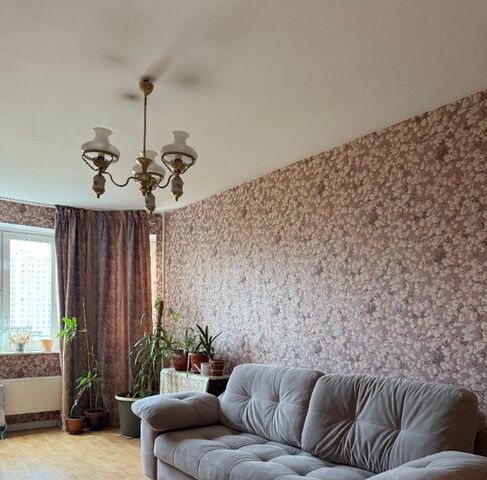 аллея Витте 2 фото