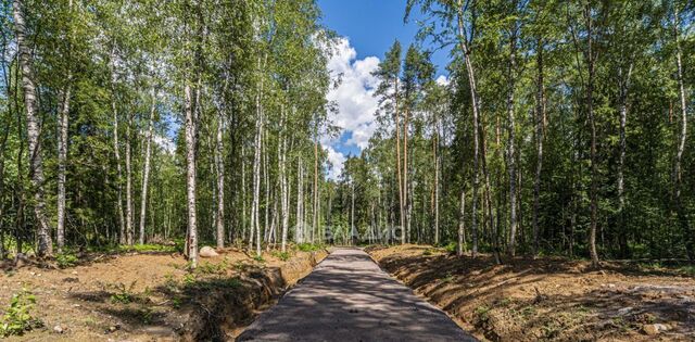 земля пос, ул. Майнило, Первомайское с фото