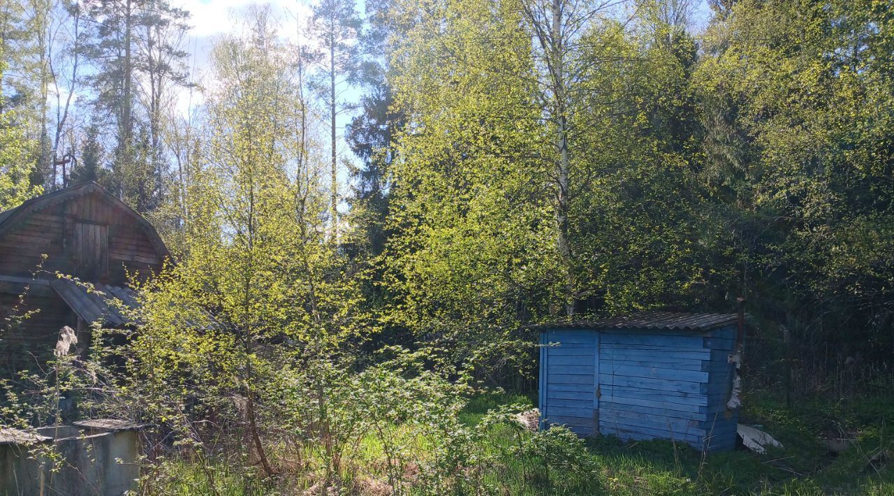 земля городской округ Богородский г Ногинск снт тер.Шерна 82, д. Тимково фото 15
