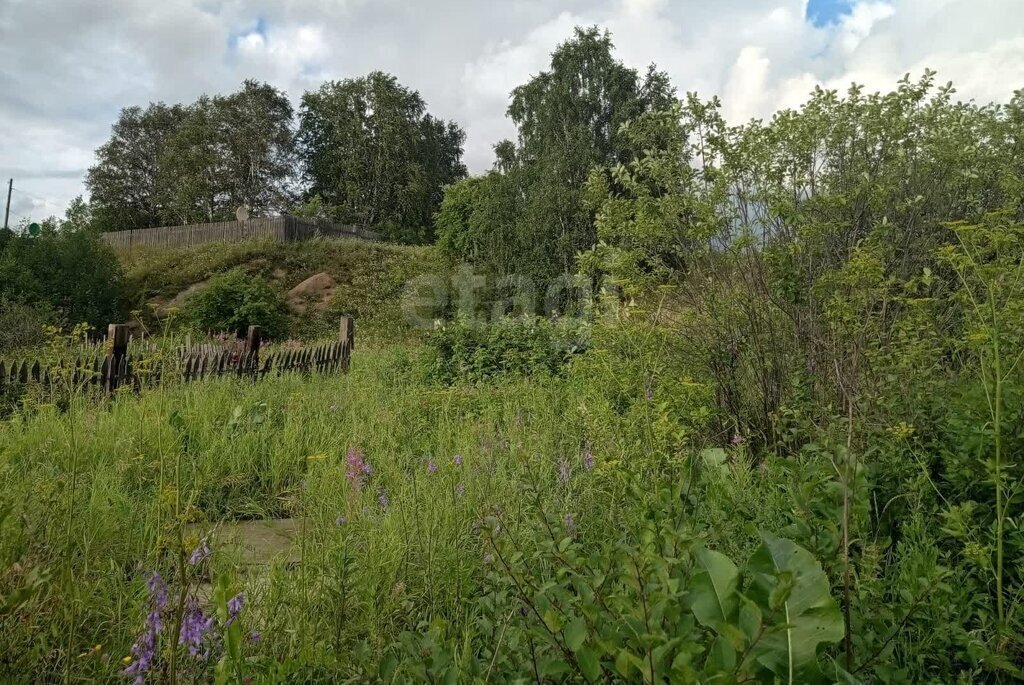земля г Нижний Тагил фото 4