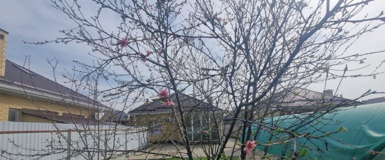 дом г Краснодар п Березовый р-н Прикубанский снт Прогресс ул Виноградная 478 фото 4
