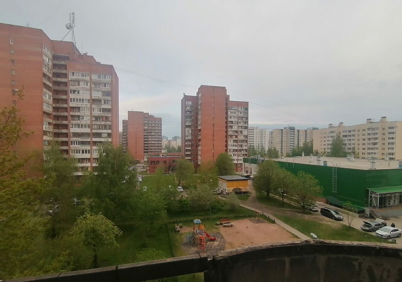 квартира г Санкт-Петербург метро Ладожская пр-кт Ударников 38к/2в фото 4