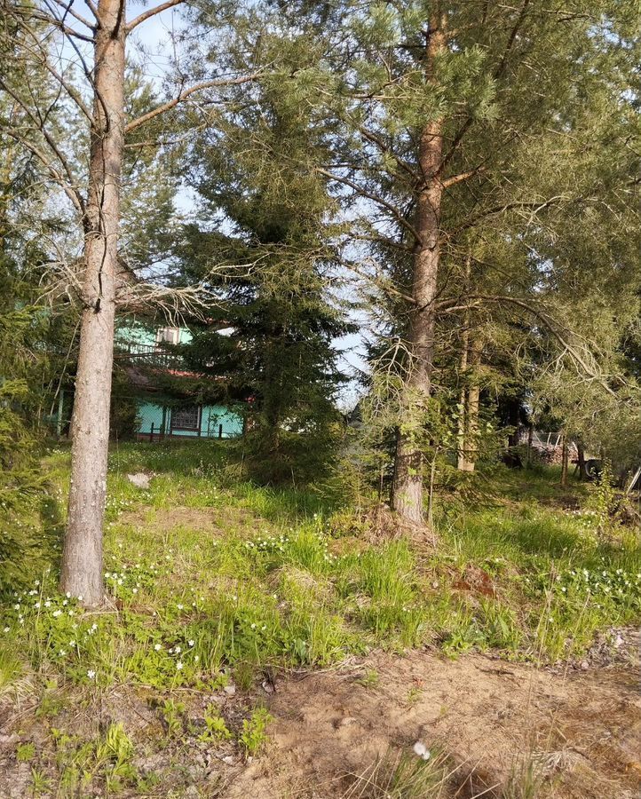 земля г Сосновый Бор снт Рябина Сосновоборский г. о., Крымская ул фото 3