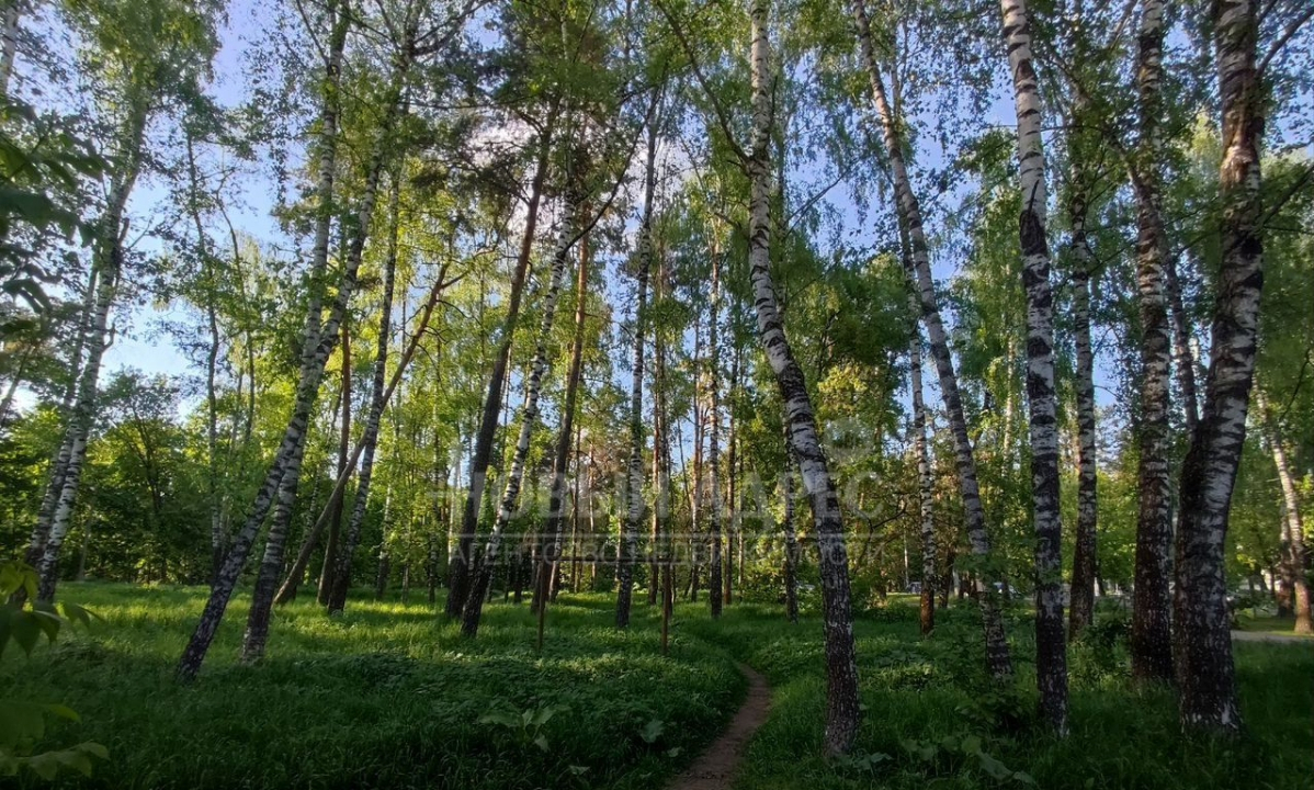 квартира г Калуга ул Телевизионная 2 фото 23