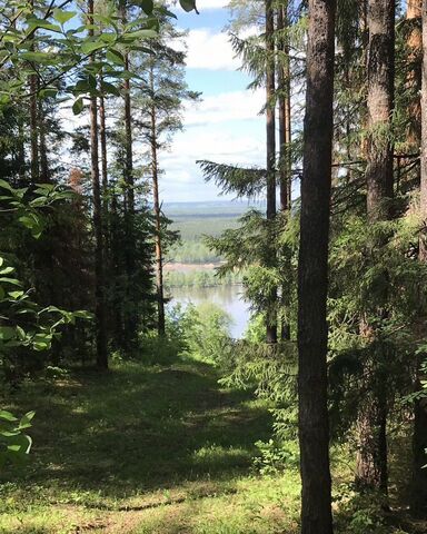 земля п Прикамский фото