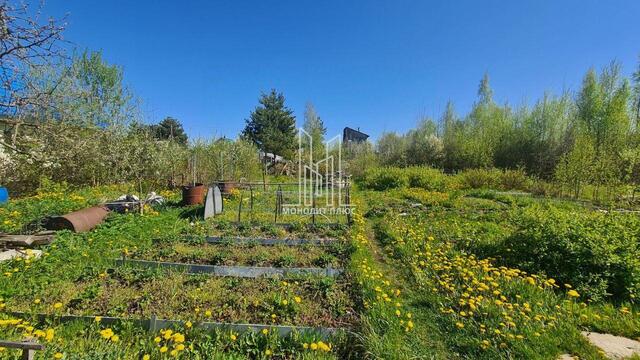 Сосновоборский городской округ, 2-й проезд фото