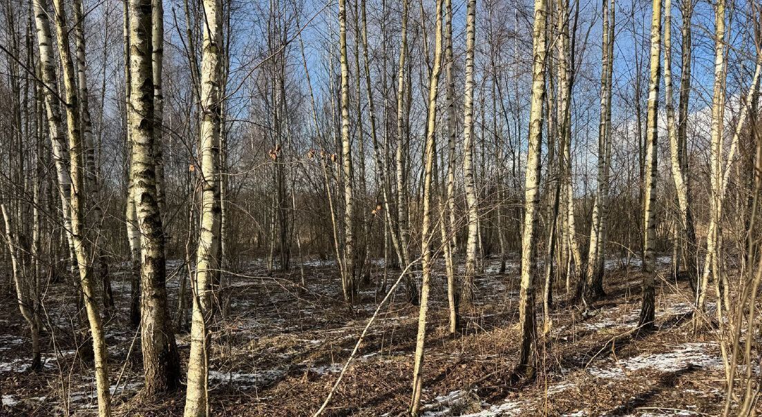офис городской округ Богородский г Ногинск фото 1