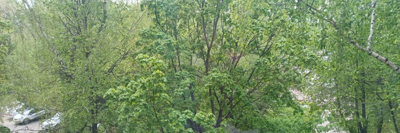 квартира г Москва метро Нагорная ул Криворожская 25 фото 19