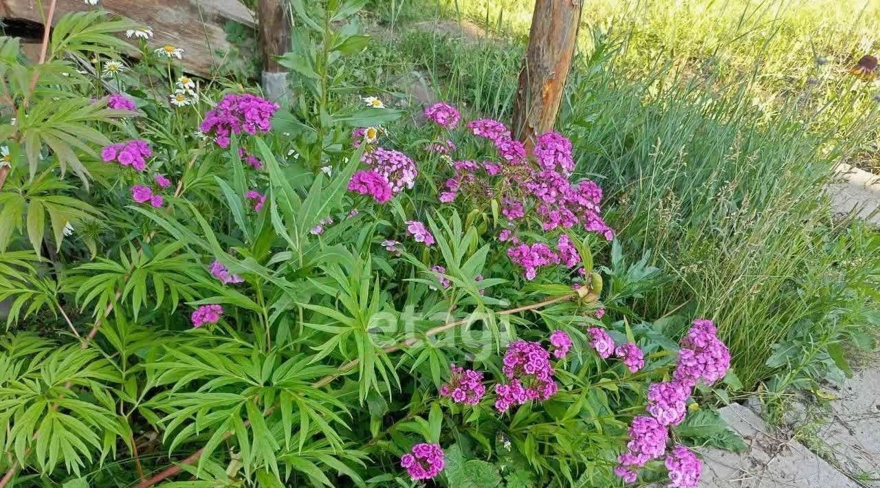 дом г Миасс снт Калинушка 498, Миасский городской округ фото 6