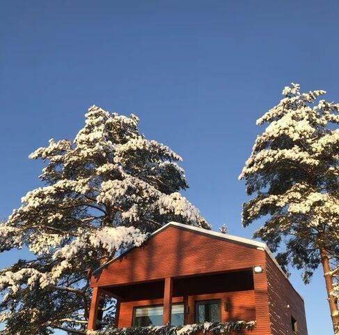 р-н Петровский ул Добровольцев 25 фото