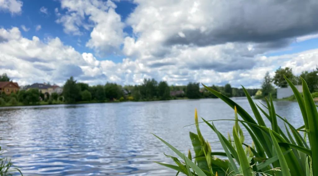 дом г Пушкино Звягино ул. Кирова, 12Б фото 25