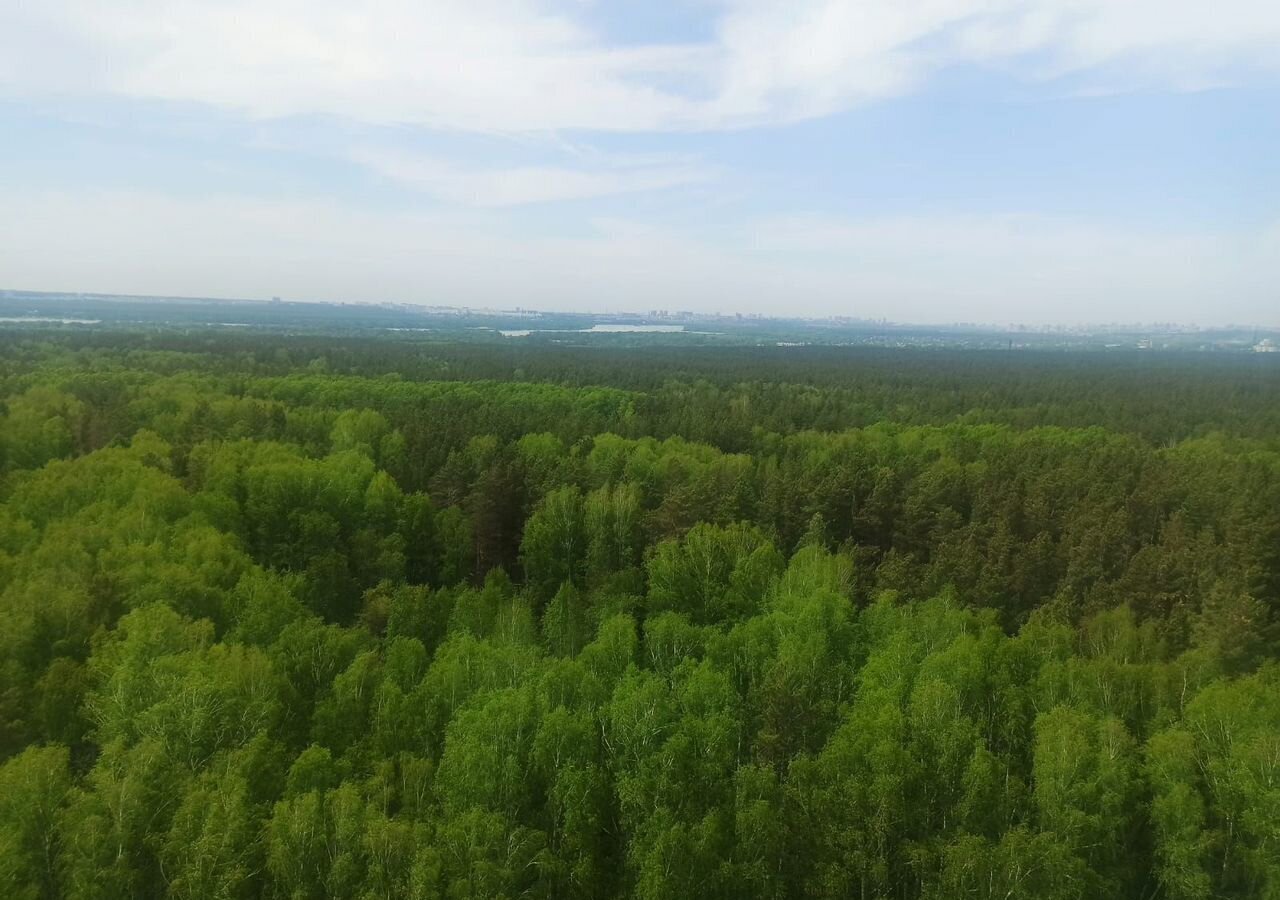 квартира г Новосибирск р-н Первомайский ул Ошанина 1 фото 7