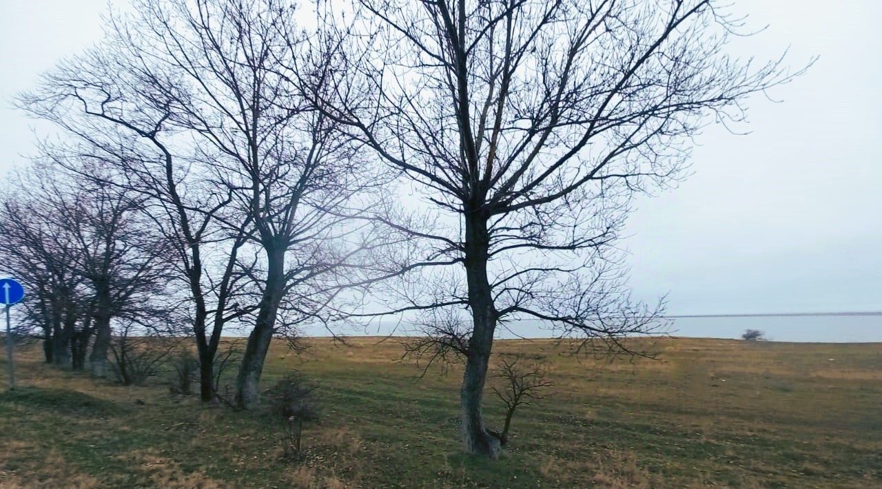 земля р-н Анапский г Анапа ст-ца Благовещенская фото 1