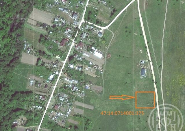Таллинское шоссе, 45 км, Копорское сельское поселение, Сосновый Бор фото