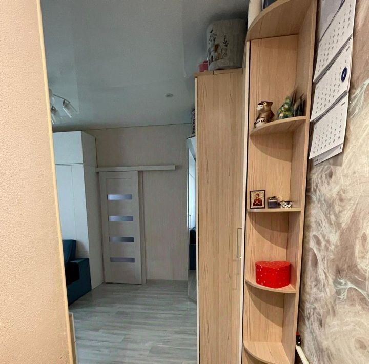 квартира г Санкт-Петербург метро Чкаловская ул Лахтинская 23 фото 3