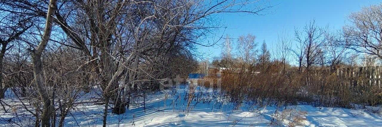 земля г Благовещенск фото 1