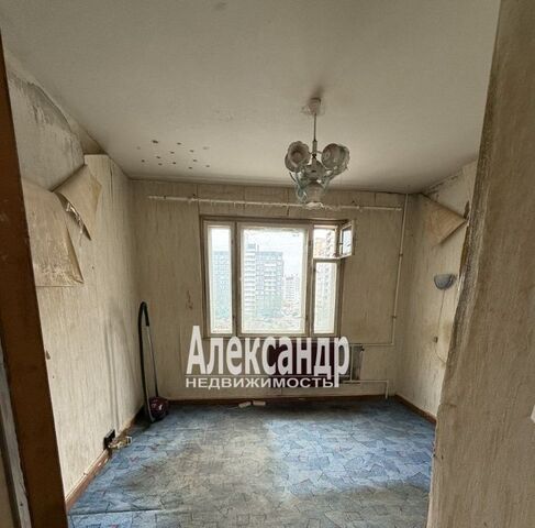 дом 56 Шушары фото