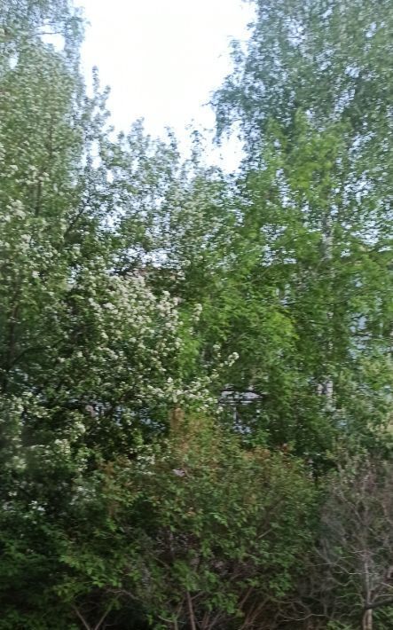 квартира г Томск р-н Октябрьский ул Сергея Лазо 24/2 фото 23