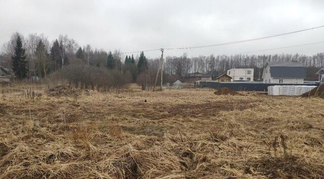Истра муниципальный округ, д. Еремеево фото
