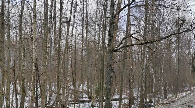 городской округ Чехов д Ваулово 11 фото