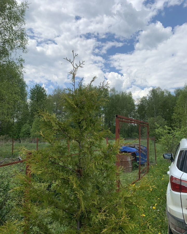 земля р-н Боровский г Боровск Киевское шоссе, 7 км, 29Н-075 фото 5