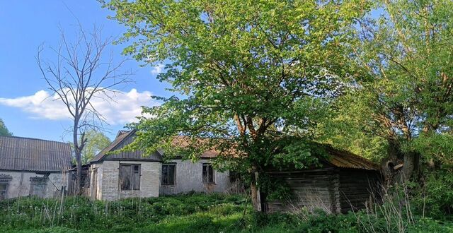 с Спасское ул Клюева Староюрьево фото