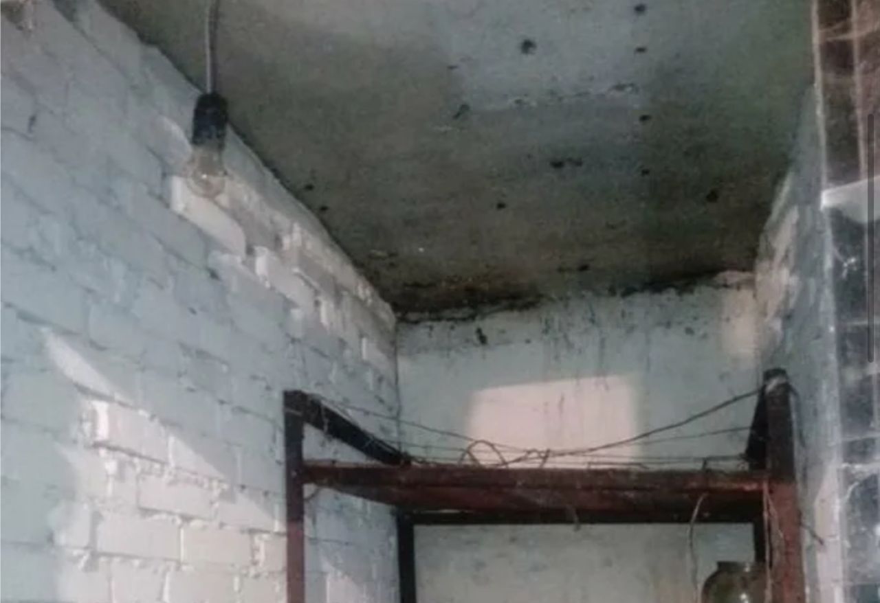 гараж г Новосибирск метро Площадь Гарина-Михайловского ул Максима Горького 1 фото 4
