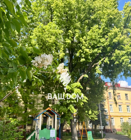 ул Карла Маркса 12 фото