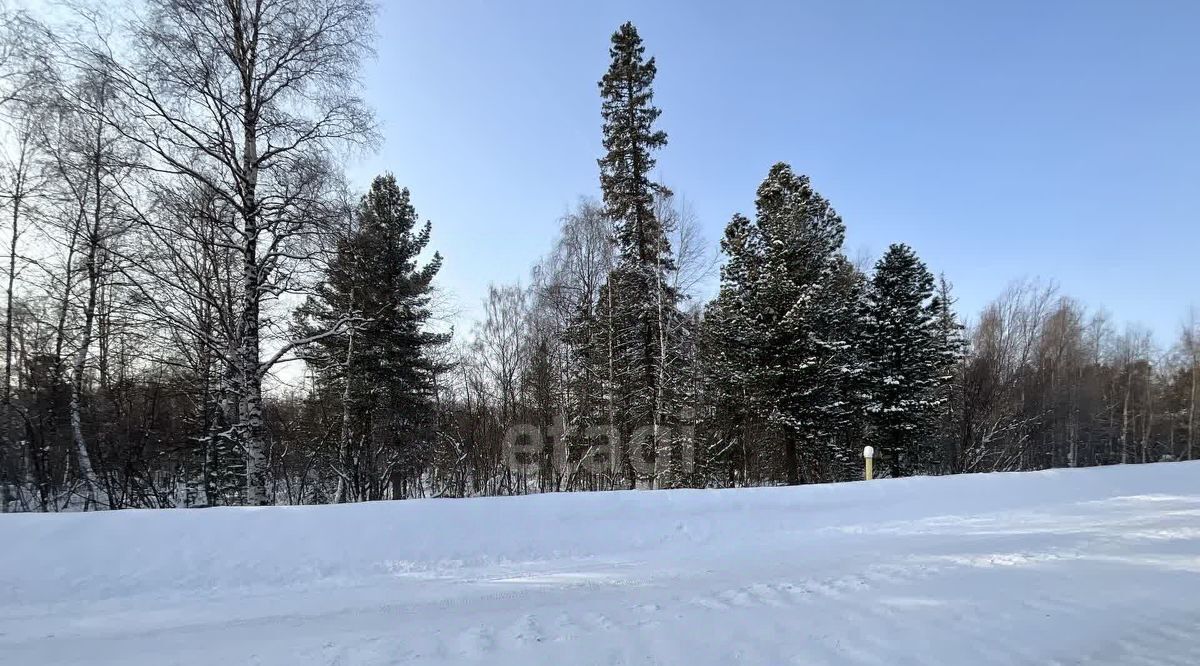 земля г Надым фото 3